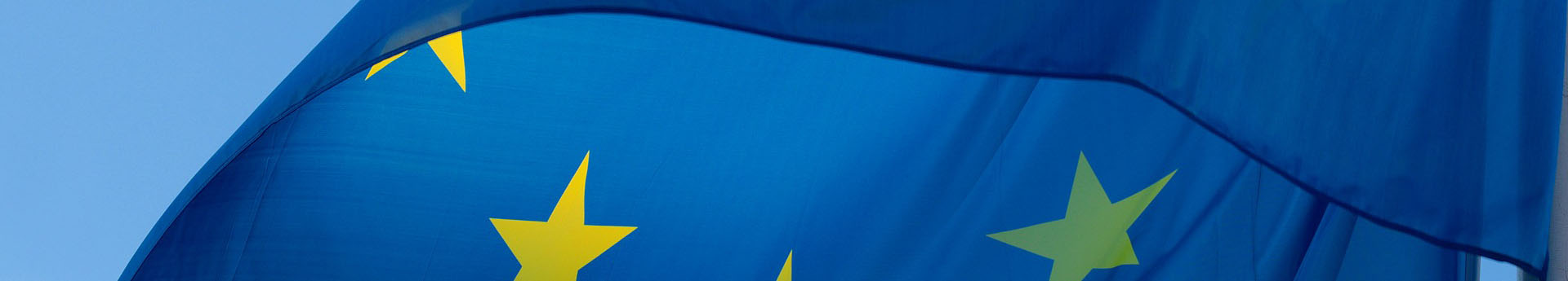 Fondo logo europe direct